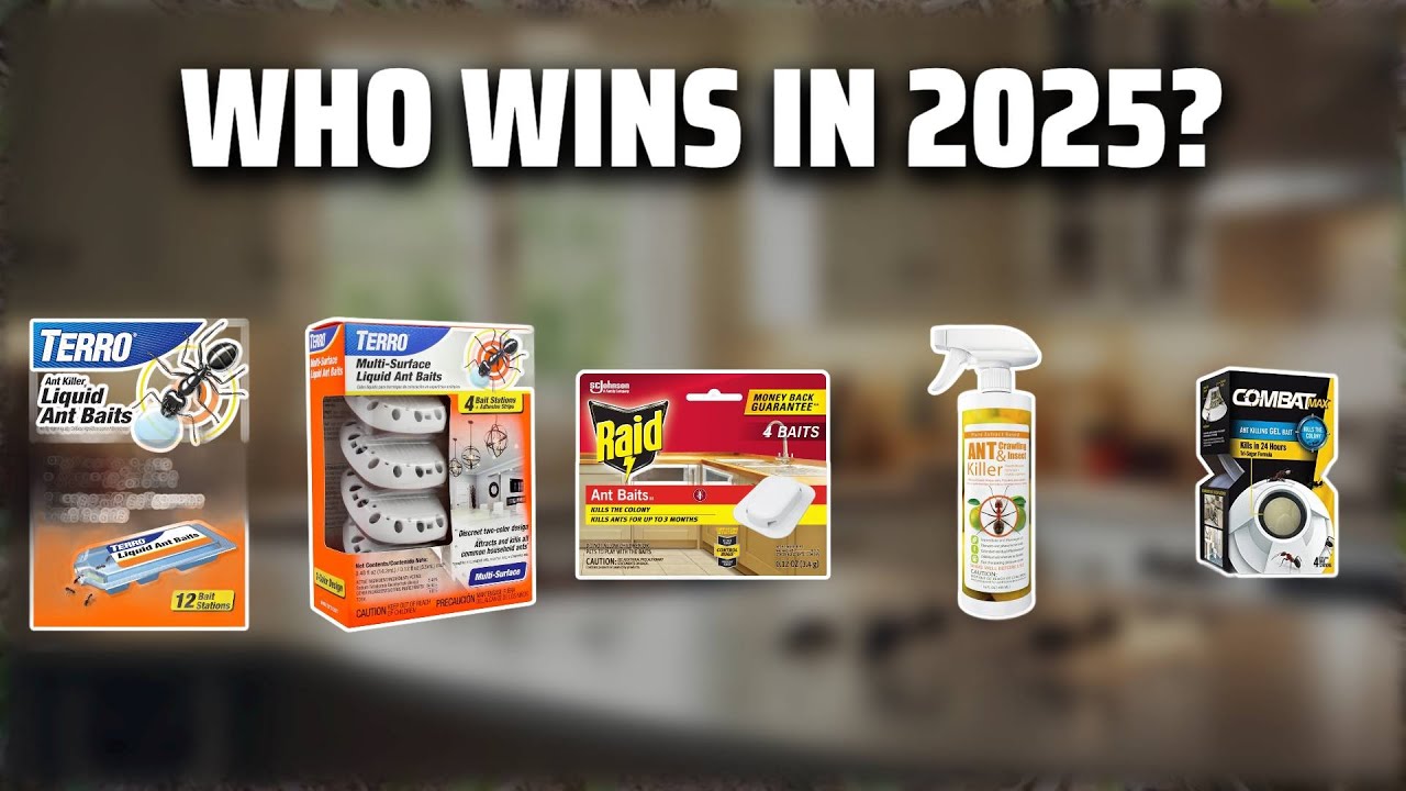 The Top 5 Best Ant Killer in 2025 - Must Watch Before Buying!