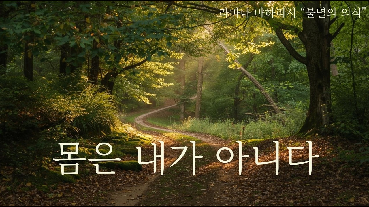 나는 누구인가? (몸, 자기탐구) | 불멸의 의식(라마나 마하리쉬)(3)