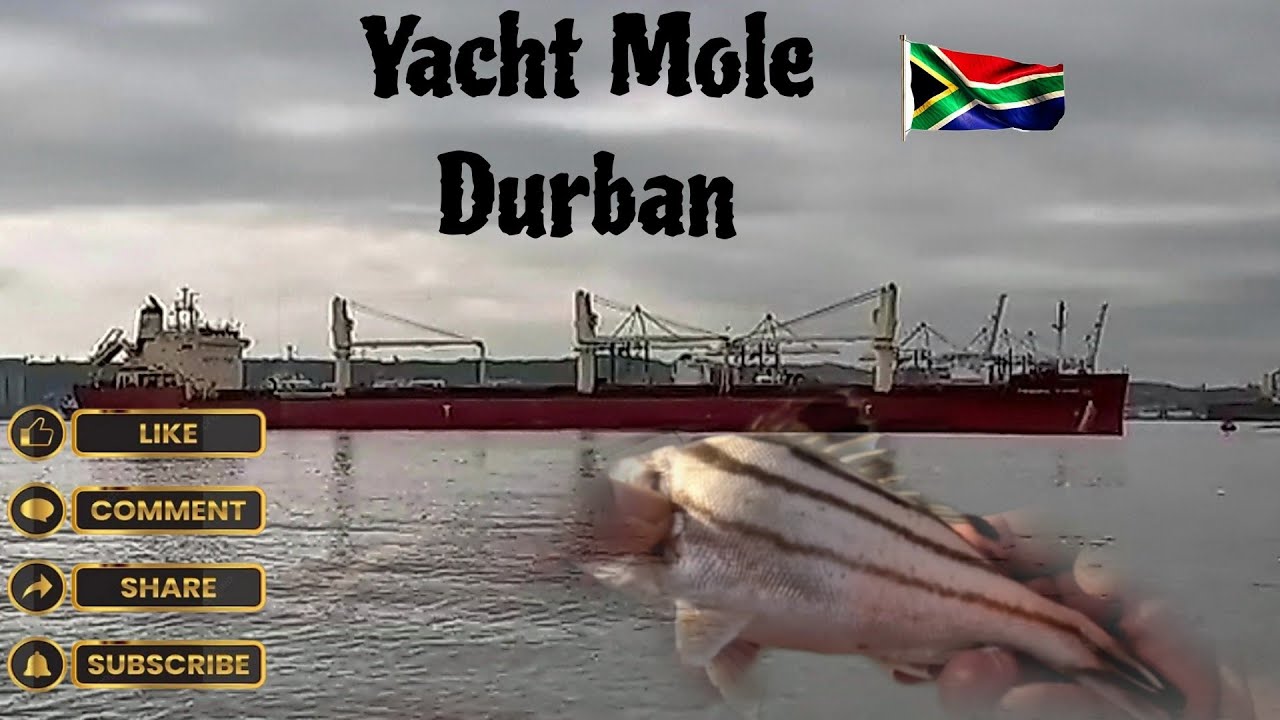 OFFROAD4LIFE, Fishing in Yacht Mole, Durban, South Africa