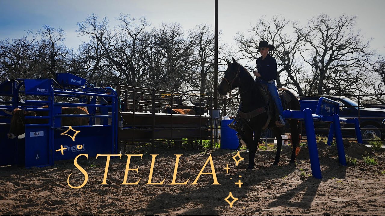 Stella