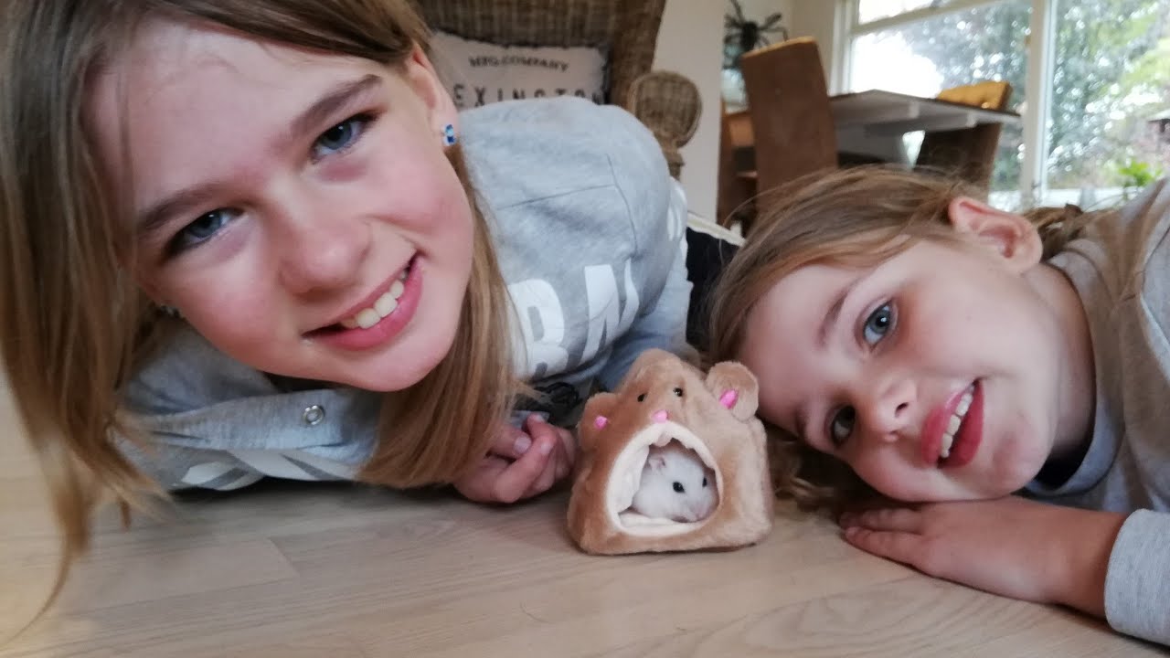 Nyt fra WISH🏡HAMSTER ELLA STIKKER AF🐹😲Nyt IPADCOVER🥰