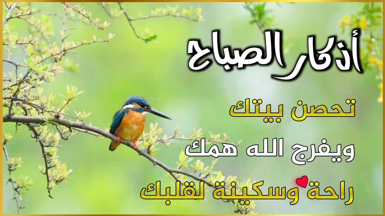 أذكار الصباح - راحة نفسية لا توصف بصوت القارئ علاء عقل | Morning Athkar - Dzkir Pagi by Alaa Aql