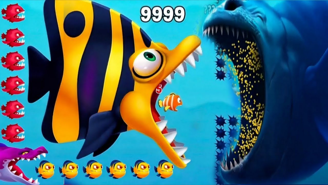 Fishdom 🐠 ads Mini Games 64.5 New update. Hungry fish video gameplay Hadi gaming yt