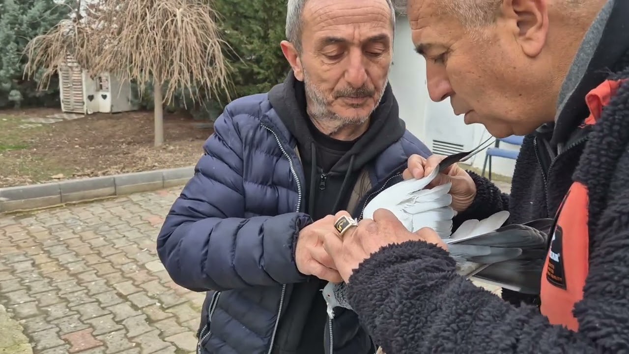 Necdet abinin mekanindayiz çok paralar verip aldığı kuşları aldik pazar 9 da