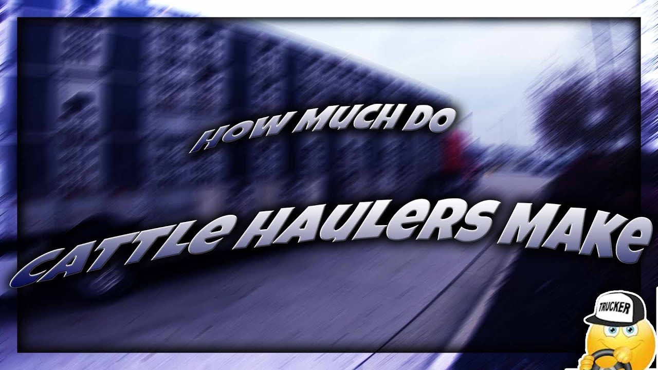 How Much Do Cattle Haulers Make | Breaking Truckers | #recruitercall