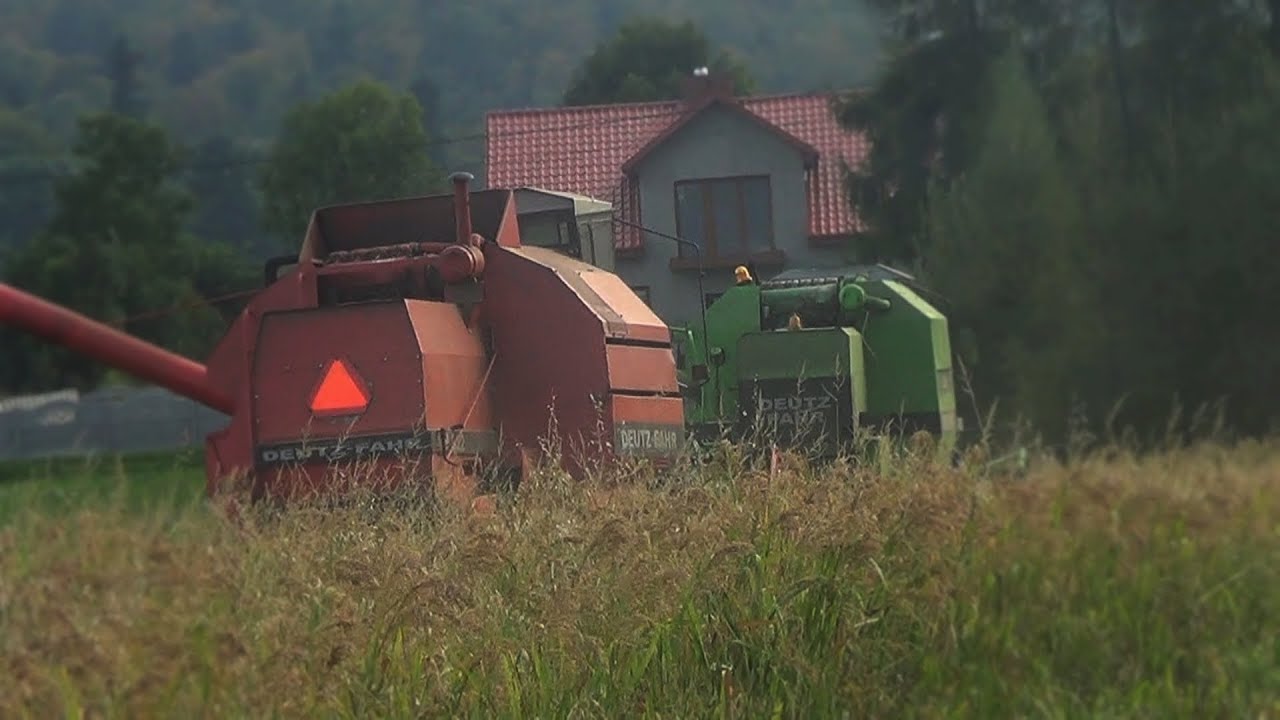 Późne proso 2017 [GoPro] 2x Deutz M922 M2385 URSUS millet harvest