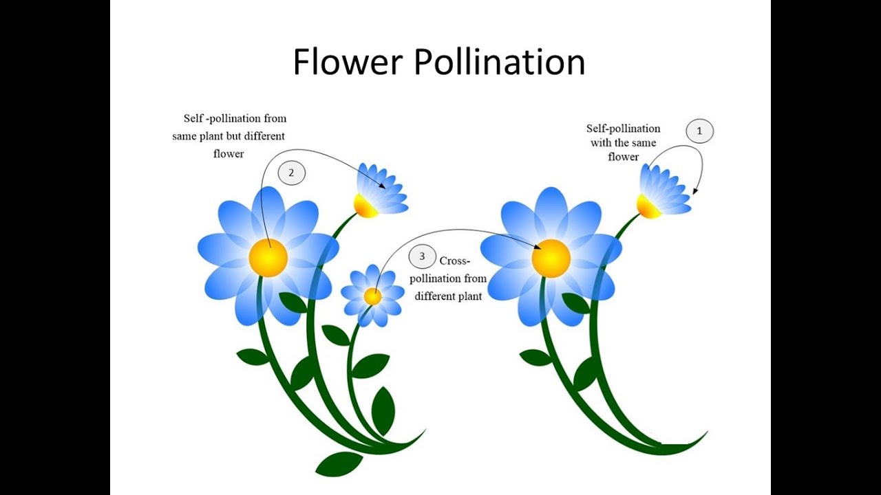 Flower Pollination Algorithm Optimized PI Controller in Automatic Generation Control
