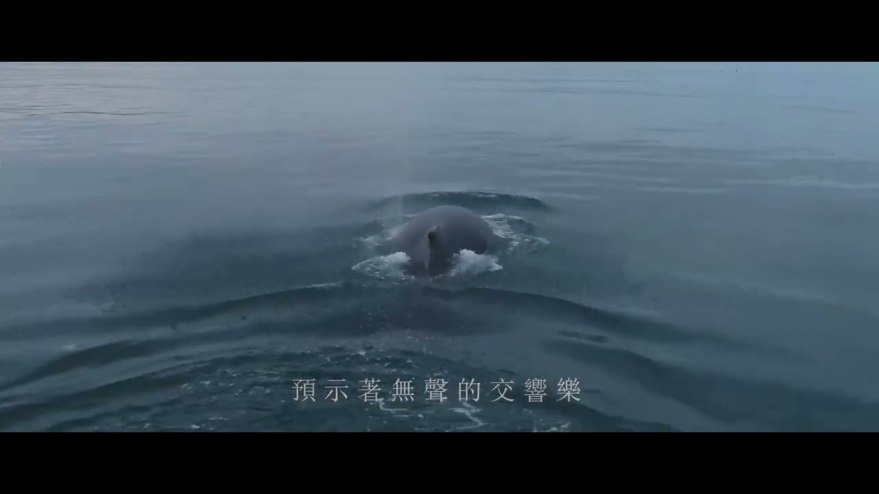 【隱者之詩  Symphony 】 官方歌詞MV｜New Voice新聲全國詩歌創作大賽 | 詩歌 | 創作 | 福音歌曲