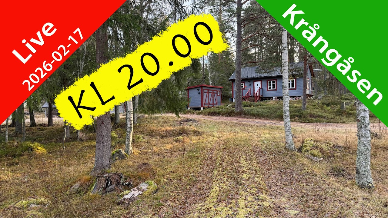 Tisdagslive - Precis som vanligt