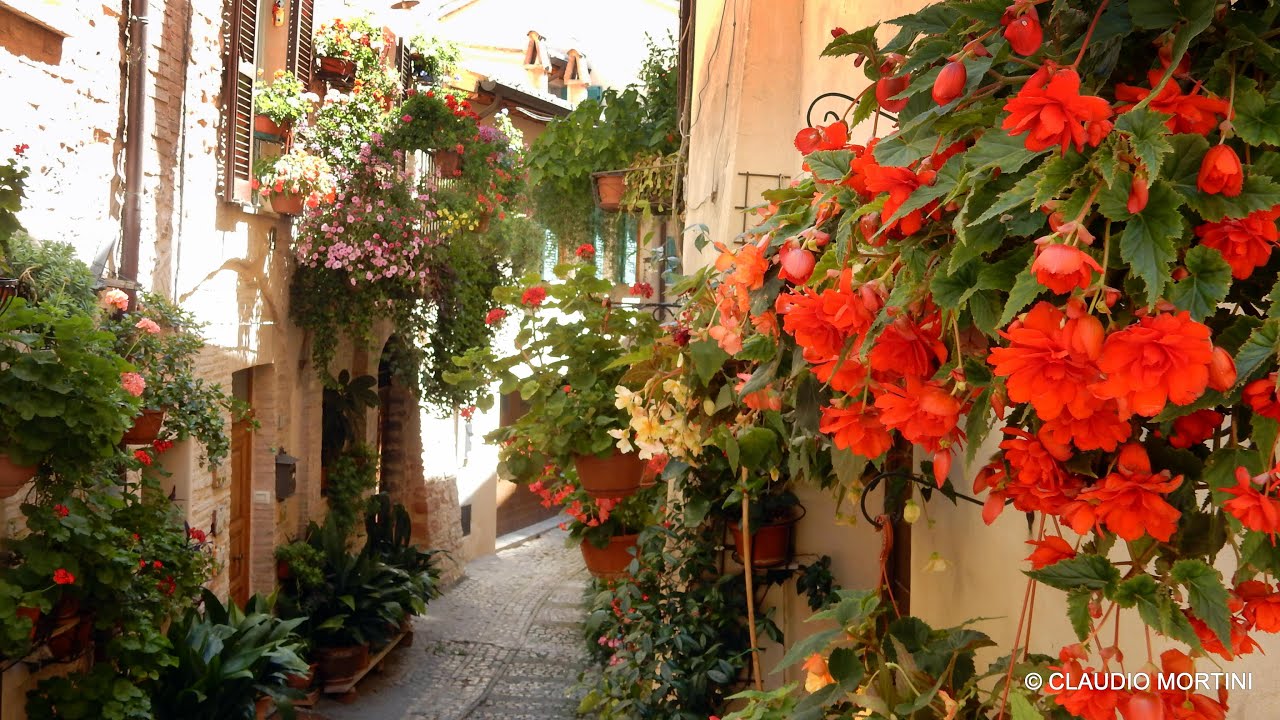 UMBRIA - SPELLO IN FIORE 2020 - 4k