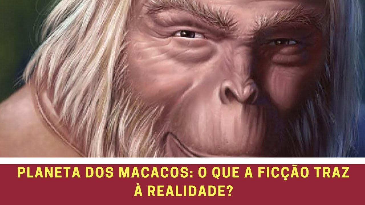 Planeta dos Macacos: o que a ficção traz à realidade?