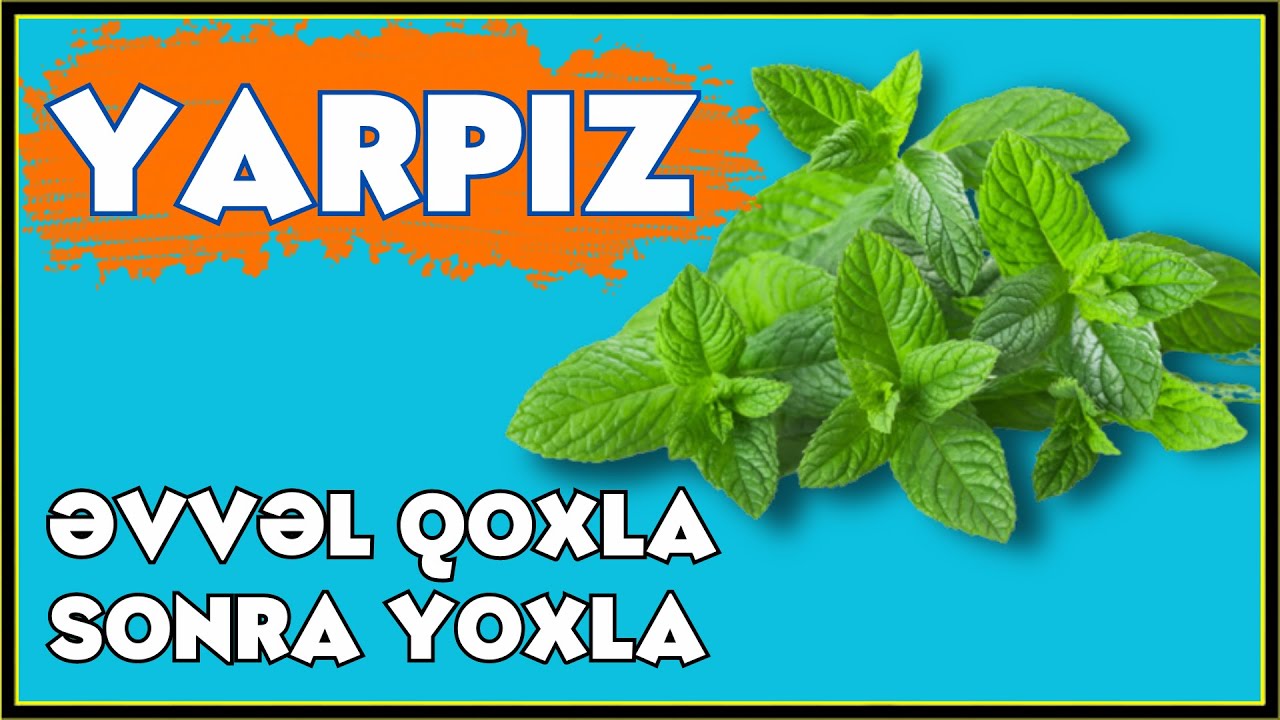 Yarpızotu və Yarpızotu çayının faydaları.Əvvəl qoxla,sonra yoxla