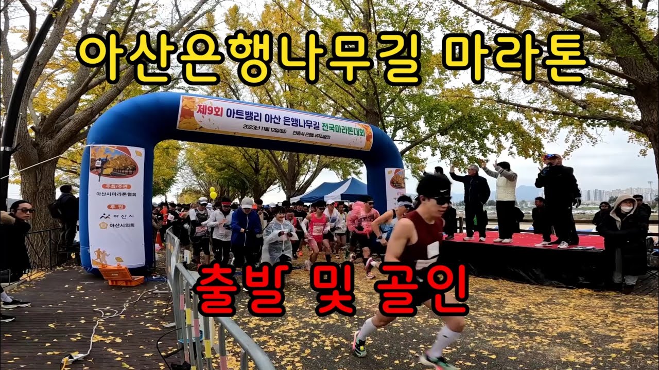 아산은행나무길 마라톤 출발 및 골인