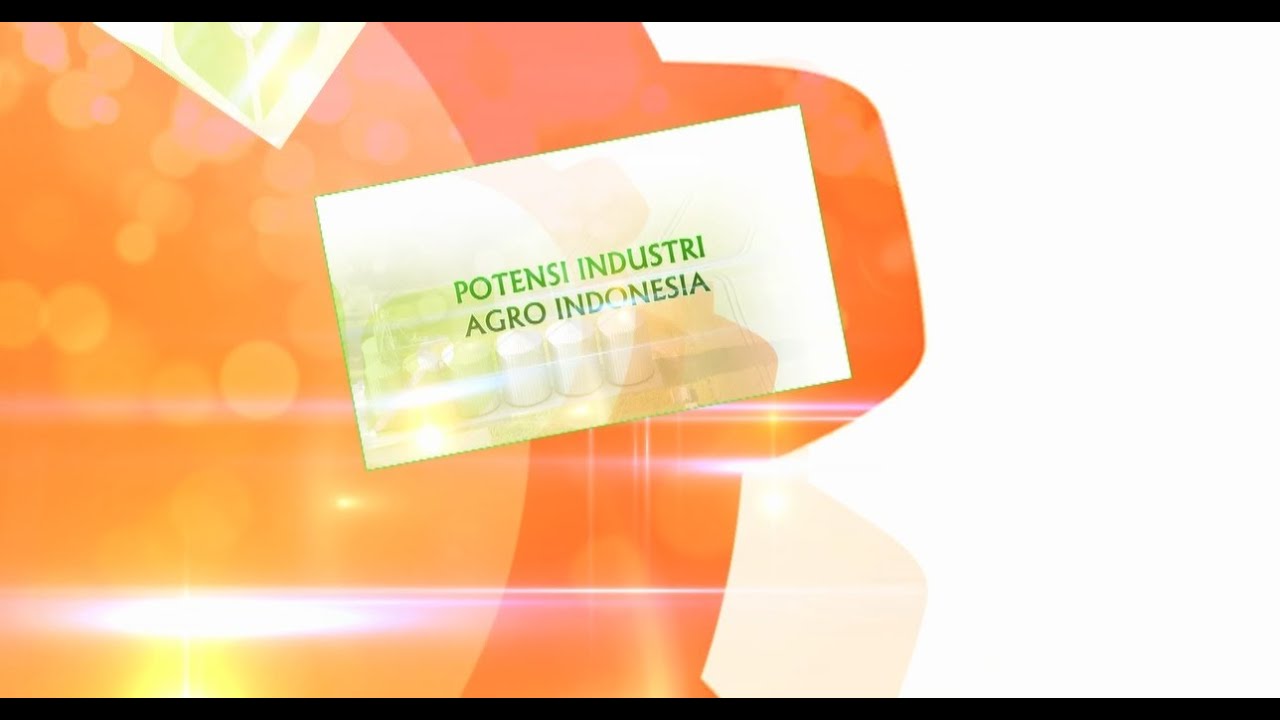 Profil Industri Agro 2013