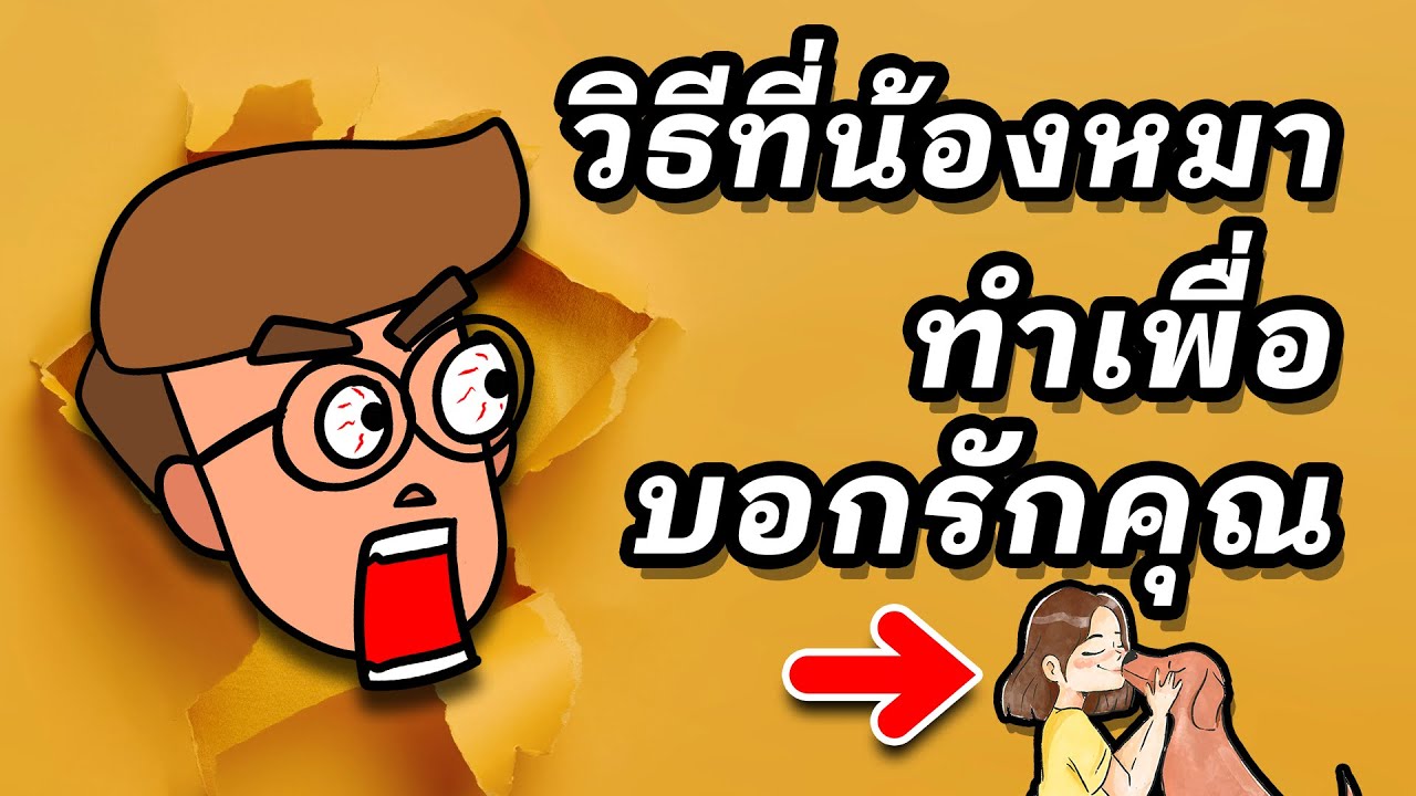 10 วิธีบอกรัก ของน้องหมา (สุนัขบอกรักคุณได้อย่างไร)