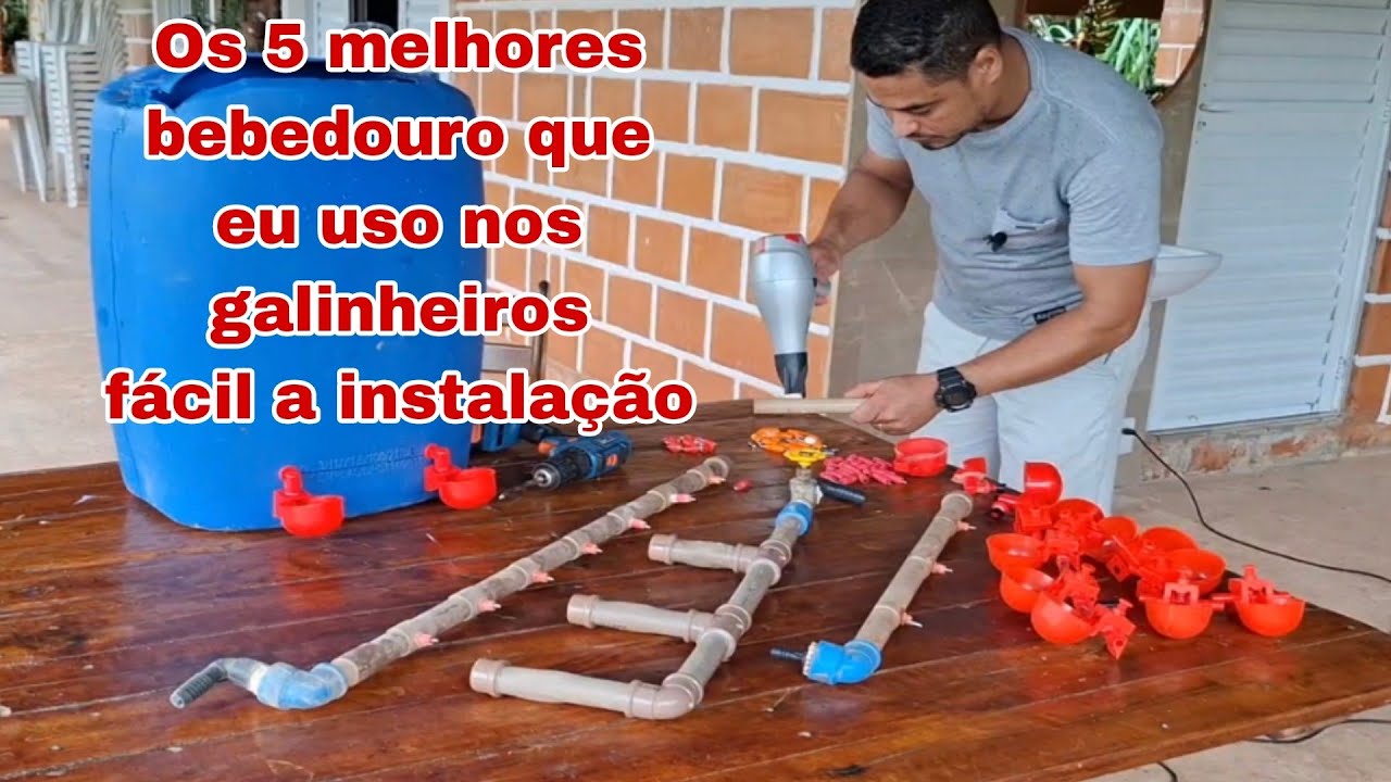 Bebedouro automático para galinhas qual os melhores