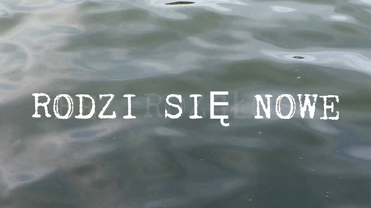 Nowatorski pchacz