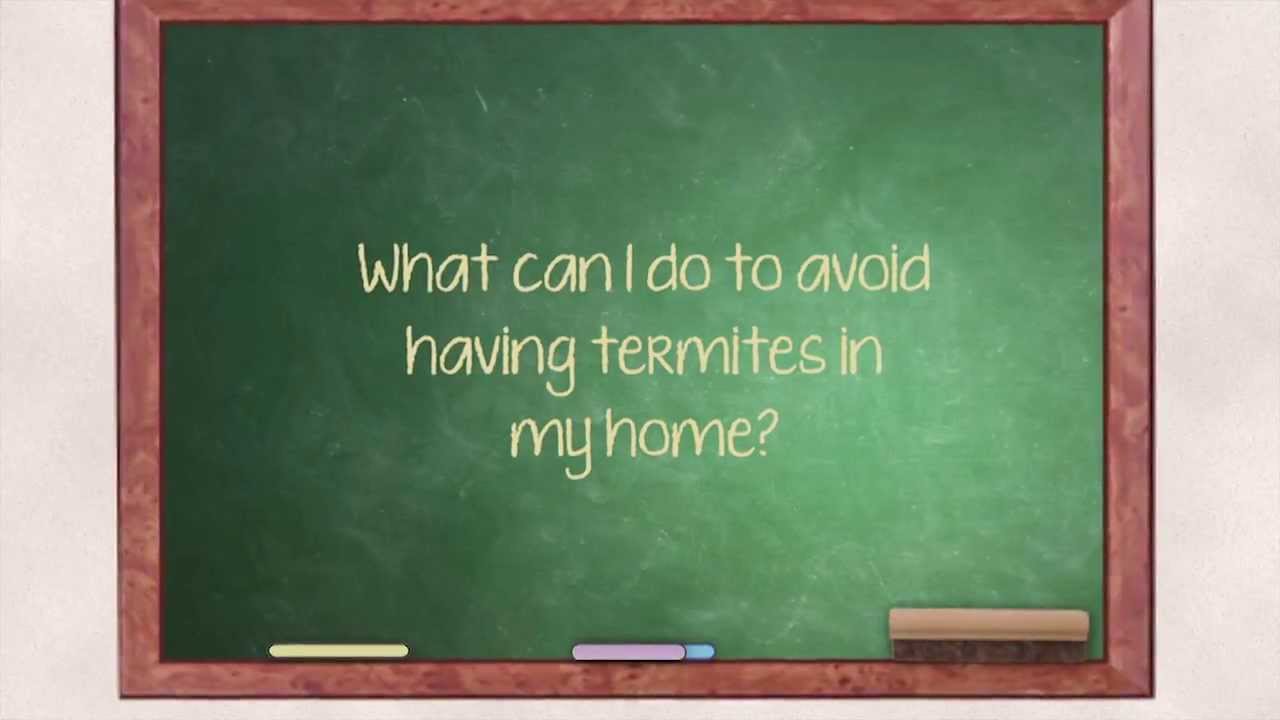 Tips to Prevent Termite Infestation | Ask The Expert | Alford Home Solutions.
