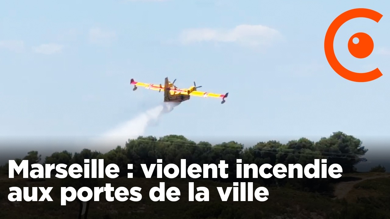 Marseille : un violent incendie aux portes de la ville brûle 700 hectares, l'aéroport fermé