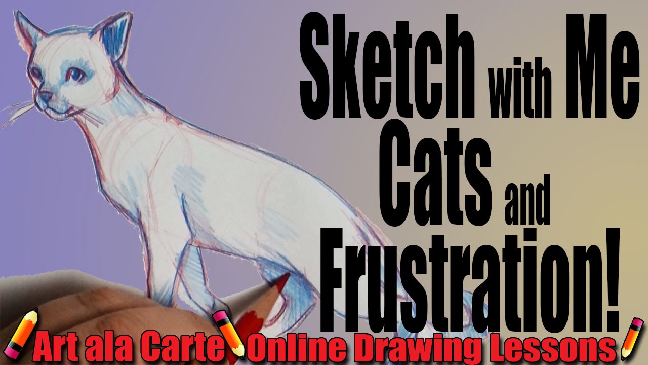 Sketch with Me Drawing CAt and dealing with FRUSTRATION
