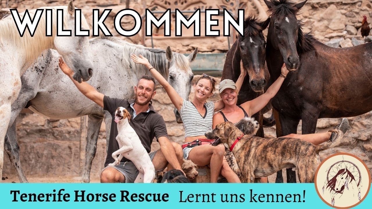 Tenerife Horse Rescue Deutsch Vorstellung