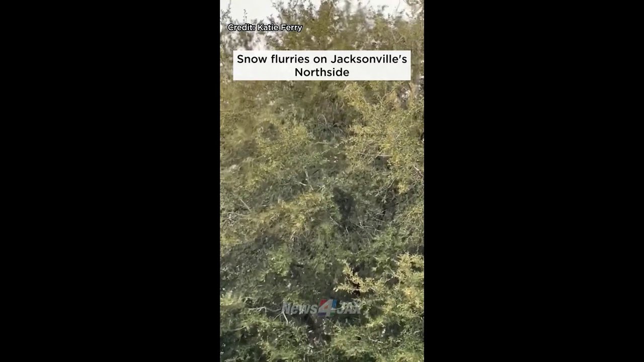 Snow flurries on Jacksonville's Northside