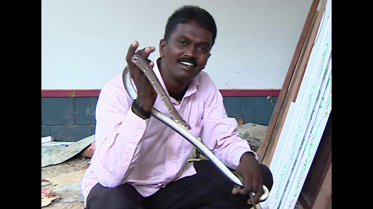 Vava Suresh Snake Hunting caught a Long Trinket Snake in Kerala | SNAKE MASTER EPI 163 1/2