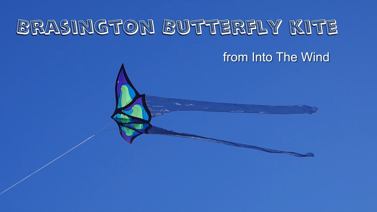 Brasington Butterfly kite