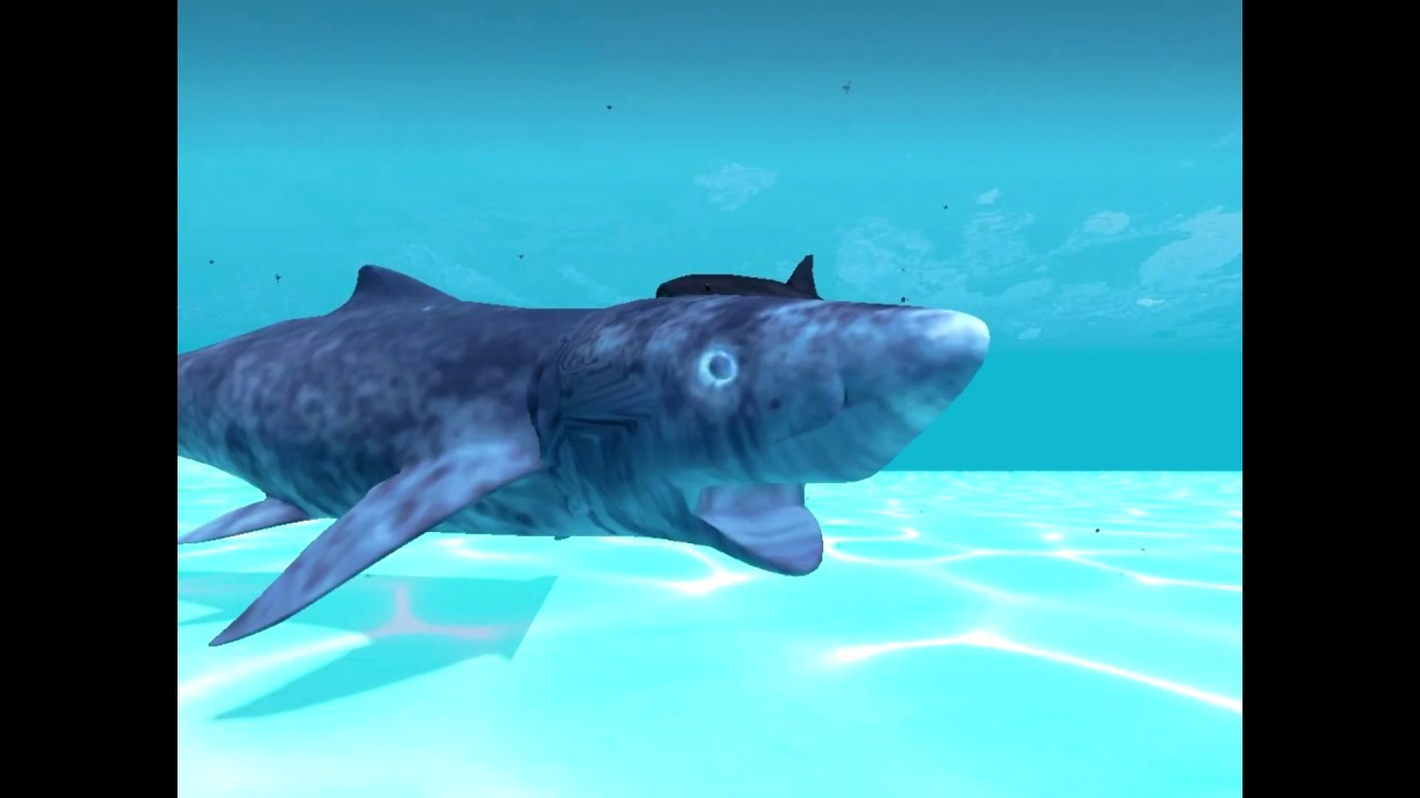 I LOVE SHARKS! (Gmod Edition)