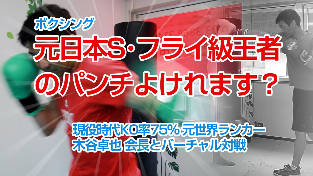 あなたはプロボクサー（KO率75％の元日本S・フライ級王者）のパンチよけれますか？バーチャルボクシング2