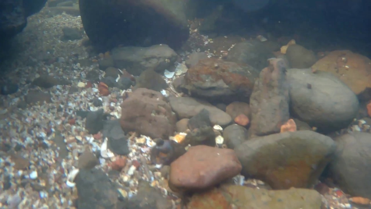 Underwater seastones & golden sunset at mithmumbari beach