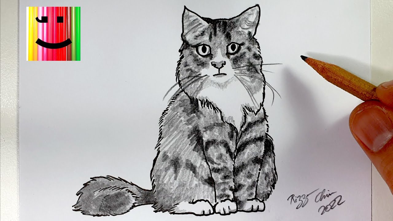 COMMENT DESSINER UN CHAT RÉALISTE AU CRAYON DE PAPIER - TUTORIEL DE DESSIN