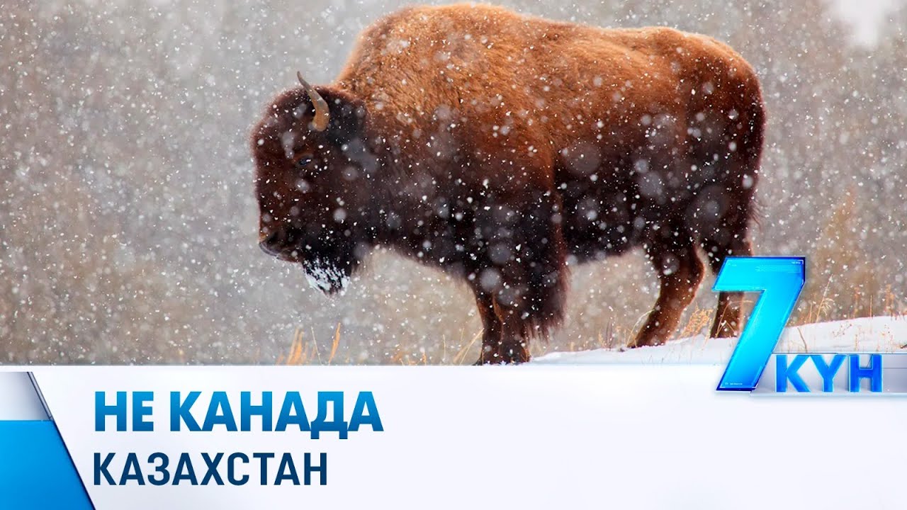 Вы думаете, это Канада? Нет, это Казахстан