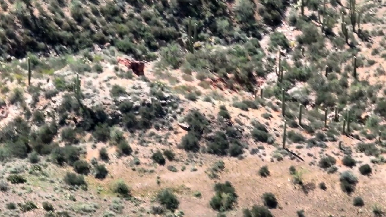 UFO Orb Caught on Drone in Arizona Desert  (4K Real Footage)