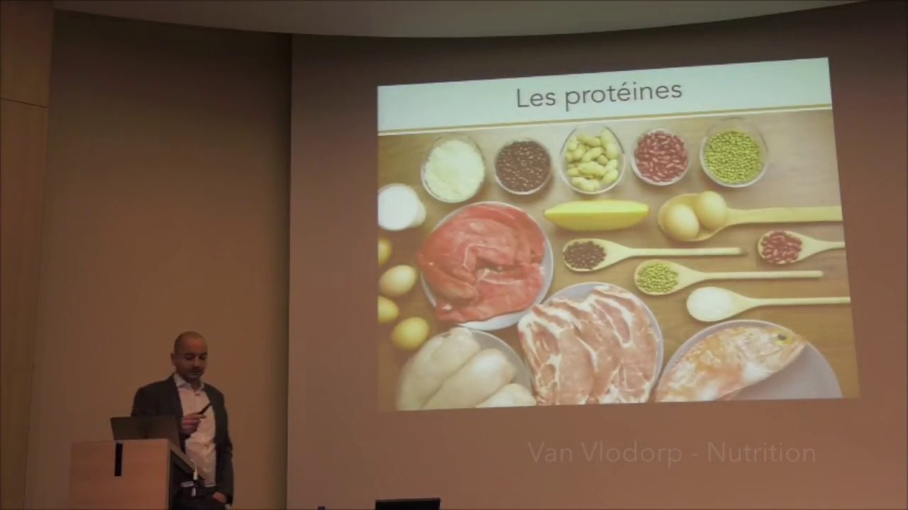 Conférence - les macronutriments