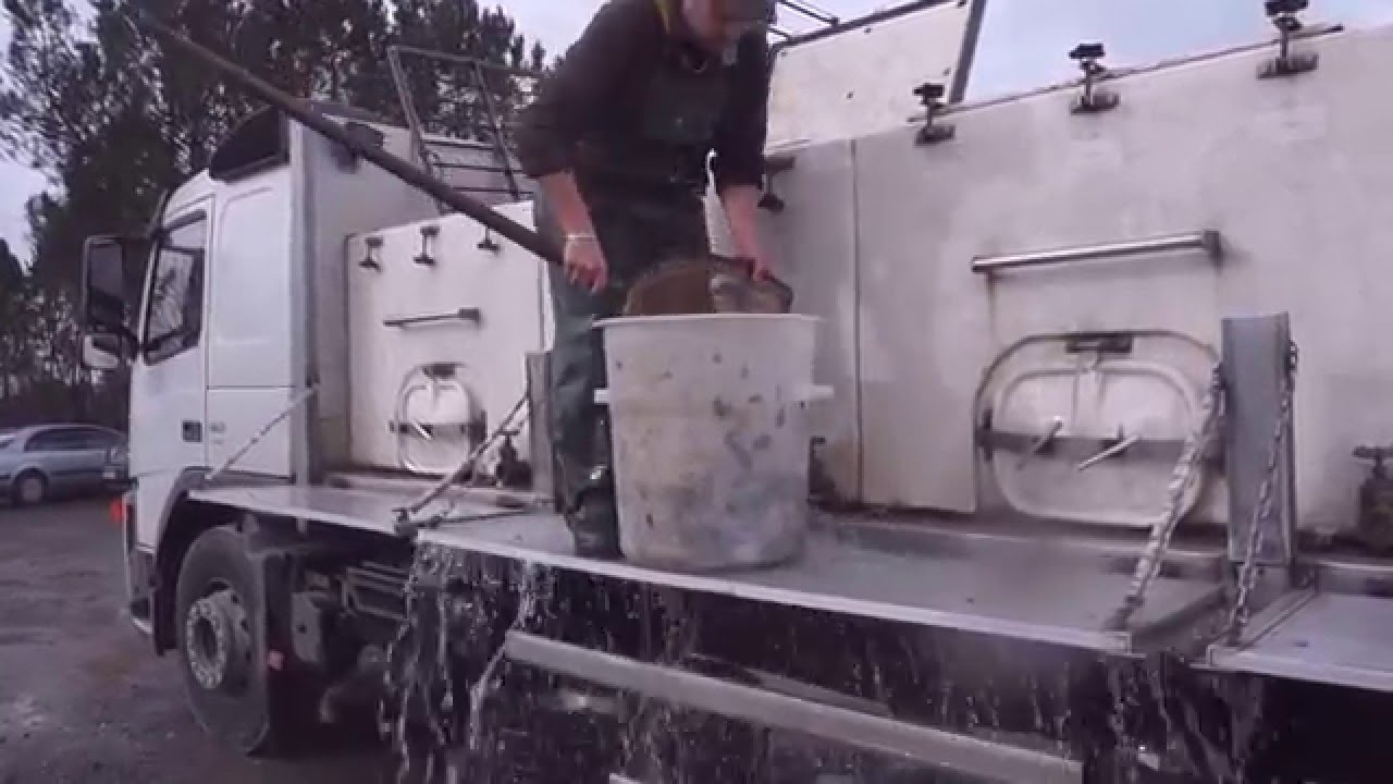 Repeuplement en poissons blancs à l'étang du Broustéra en 2016