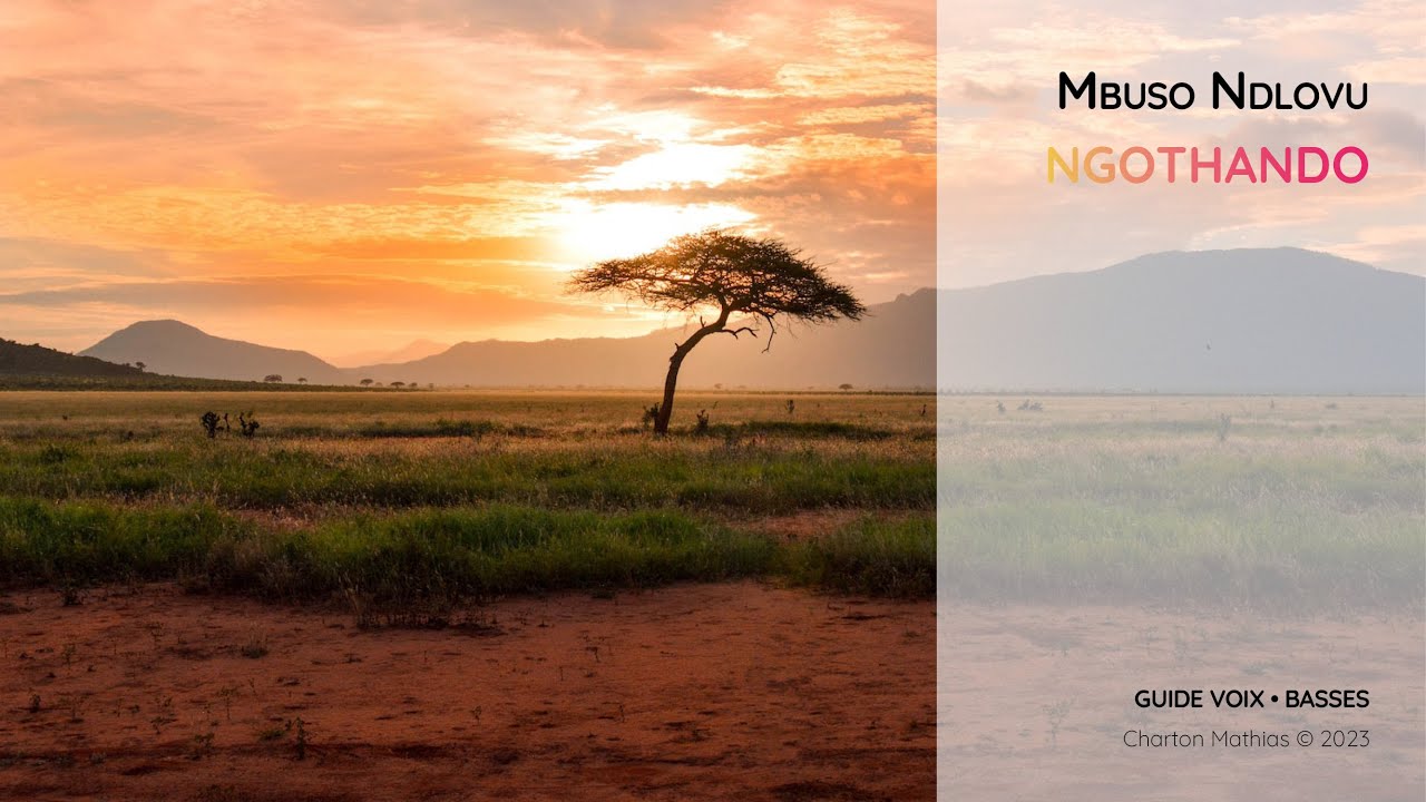 Ndlovu, Mbuso | Ngothando | Guide voix Basses