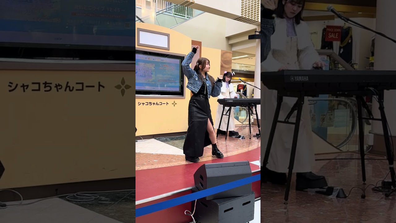 夢現妄想世界 (Acoustic ver.) / 夢限大みゅーたいぷ