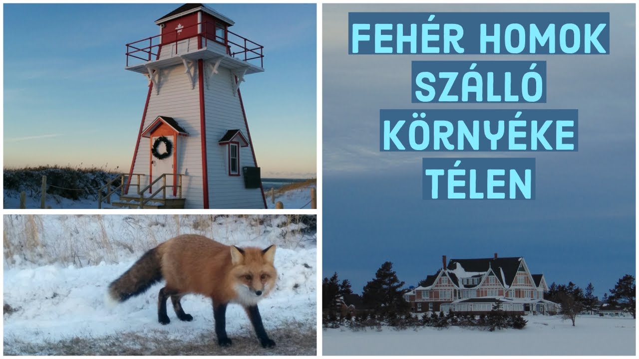 V&aacute;ratlan utaz&aacute;s. Anne a z&ouml;ld Oromb&oacute;l. Feh&eacute;r Homok Sz&aacute;ll&oacute; k&ouml;rny&eacute;ke T&eacute;len. Tal&aacute;lkoz&aacute;s a r&oacute;k&aacute;kkal