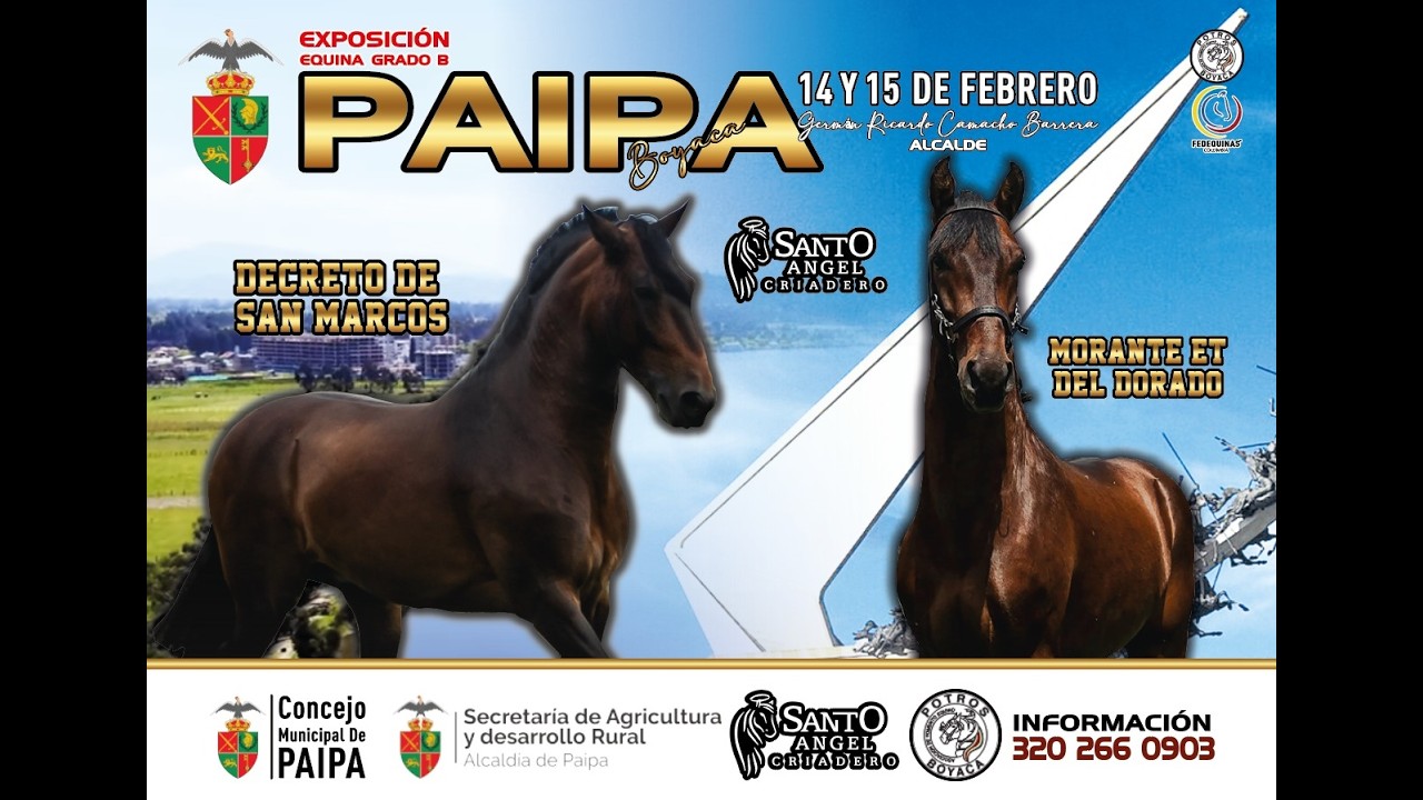 EXPOSICIÓN EQUINA PAIPA 2026 grado B - día 1