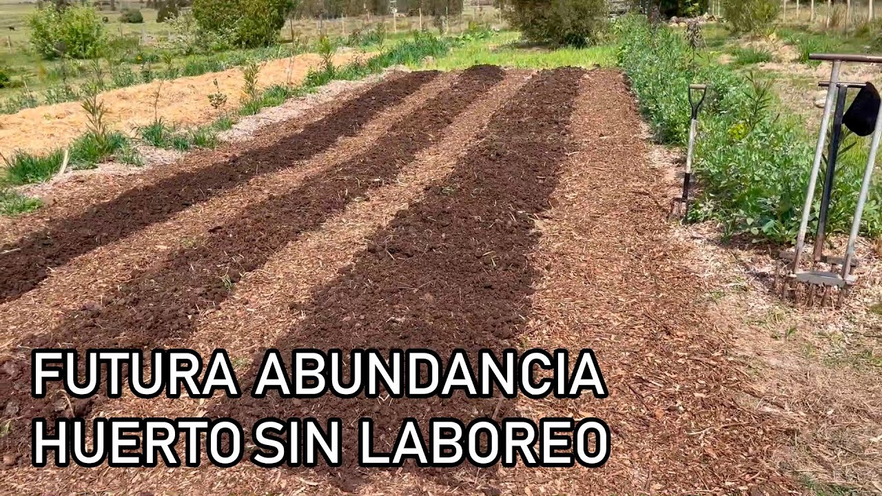 HUERTA SIN LABOREO desde CERO - Sintropía, Post Gallinas & Permacultura