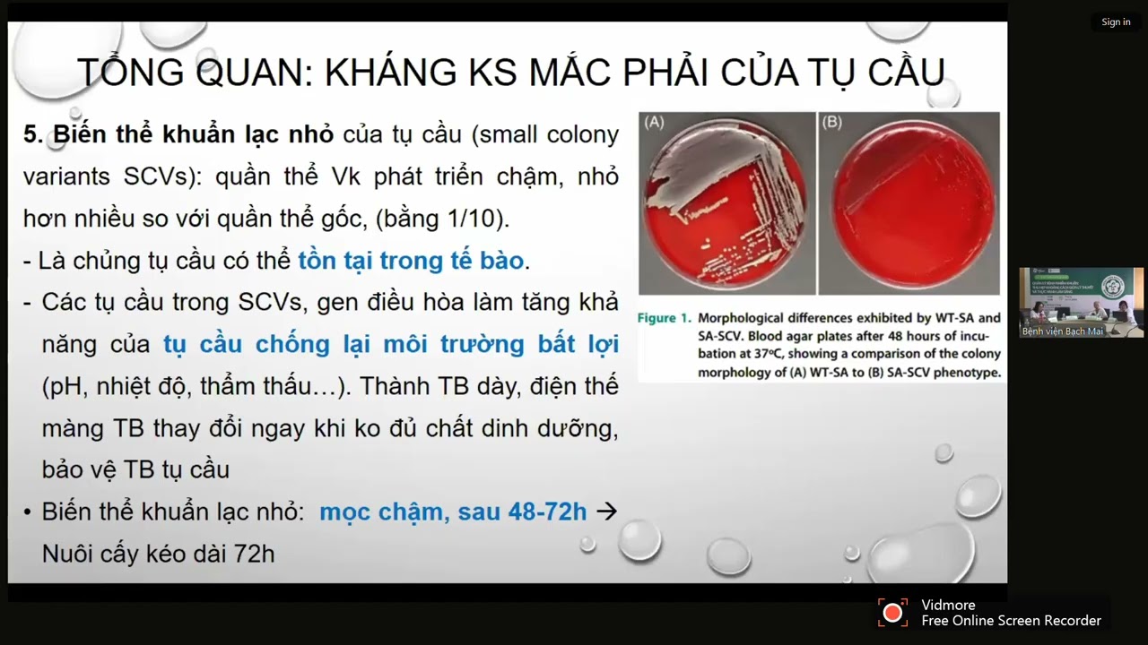 TIẾP CẬN CHẨN ĐOÁN SỚM VÀ ĐIỀU TRỊ NHIỄM TRÙNG MRSA | BS. Nguyễn Thị Hương Giang