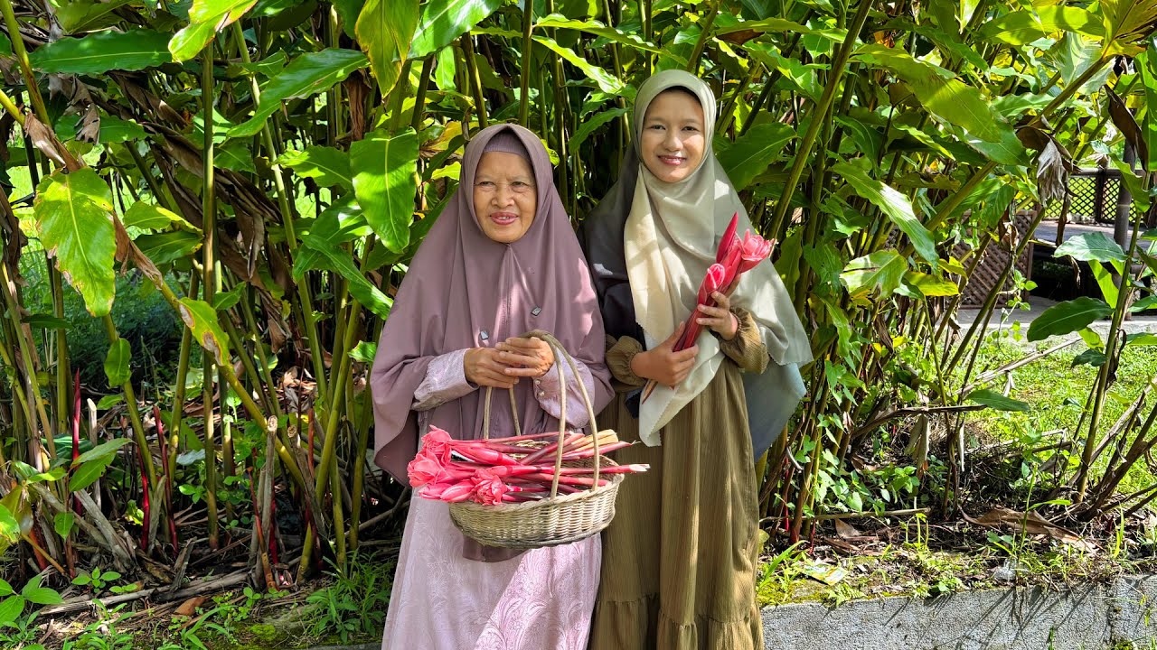 Memetik Kecombrang | Masak Sayur Asem Kecombrang, Pindang Goreng, Rondo Royal, Wedang Kecombrang