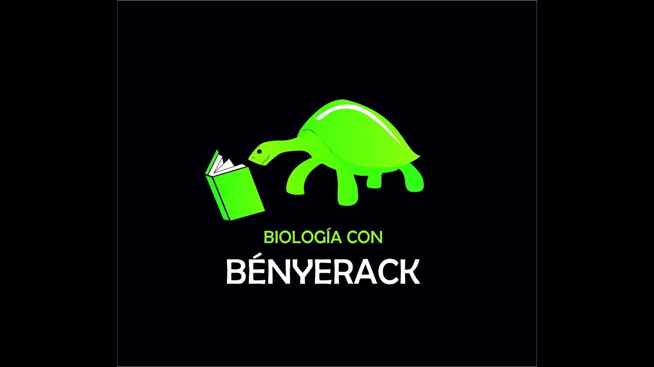 Sistemas Comparados II: Respiración Animal  🐮🐔