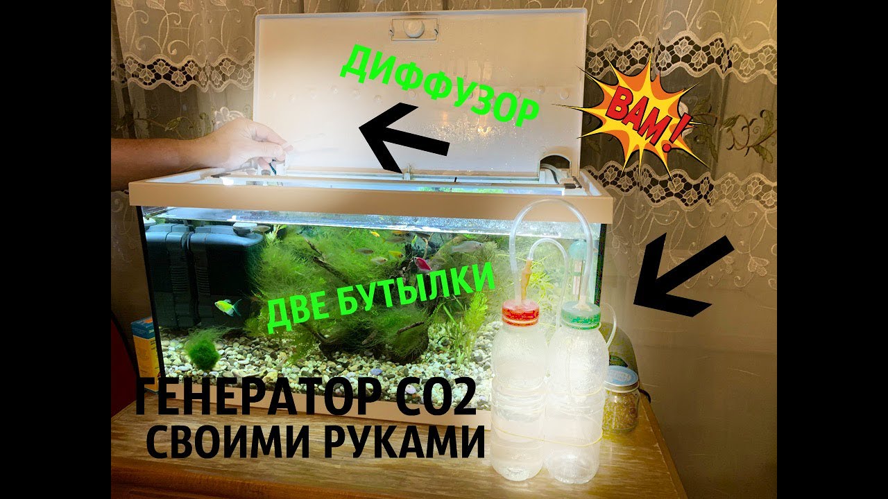 ГЕНЕРАТОР CO2 СВОИМИ РУКАМИ НА ЛИМОННОЙ КИСЛОТЕ И СОДЕ l ПРОСТЫЕ СОВЕТЫ #7
