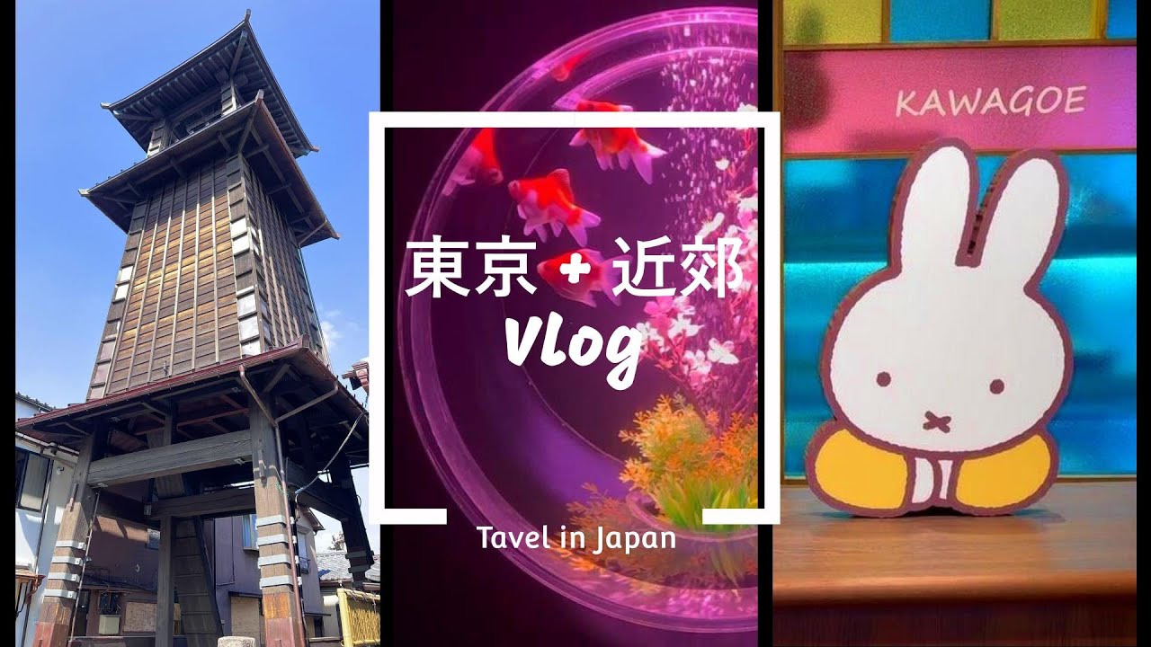 [東京+近郊Vlog#2] 銀座Art Aquarium金魚展、Teamlab Planets、河津櫻、川越Miffy Storehouse Kitchen、品川Miffy Park、夾公仔機