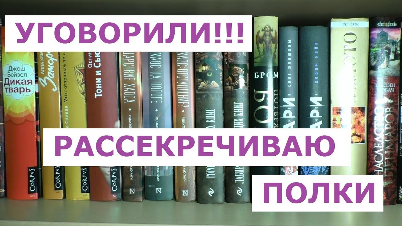 НОВЫЕ КНИЖНЫЕ ПОЛКИ 2019. #1