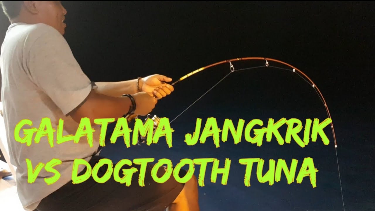 Iseng banget mancing pakai joran galatama strike tuna disambar hiu