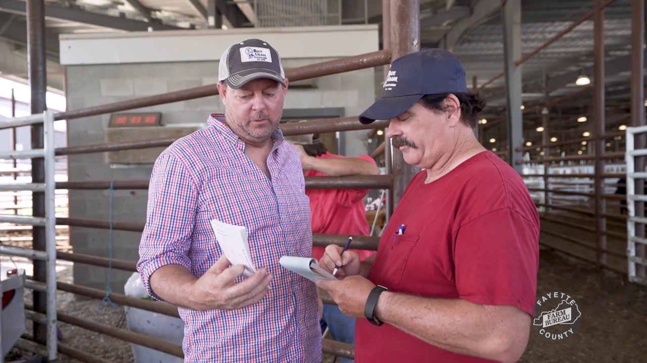 Producer Profile: Jay Busby of Bluegrass Stockyards