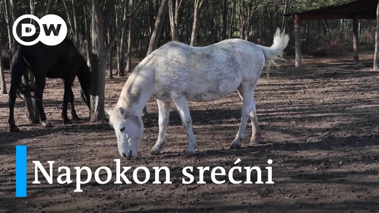 Staro brdo: azil za konje i mnogo više od toga
